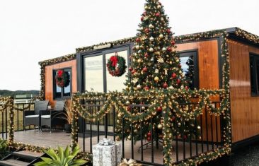 PROMOCIÓN DE NAVIDAD Y AÑO NUEVO – 2025/2026